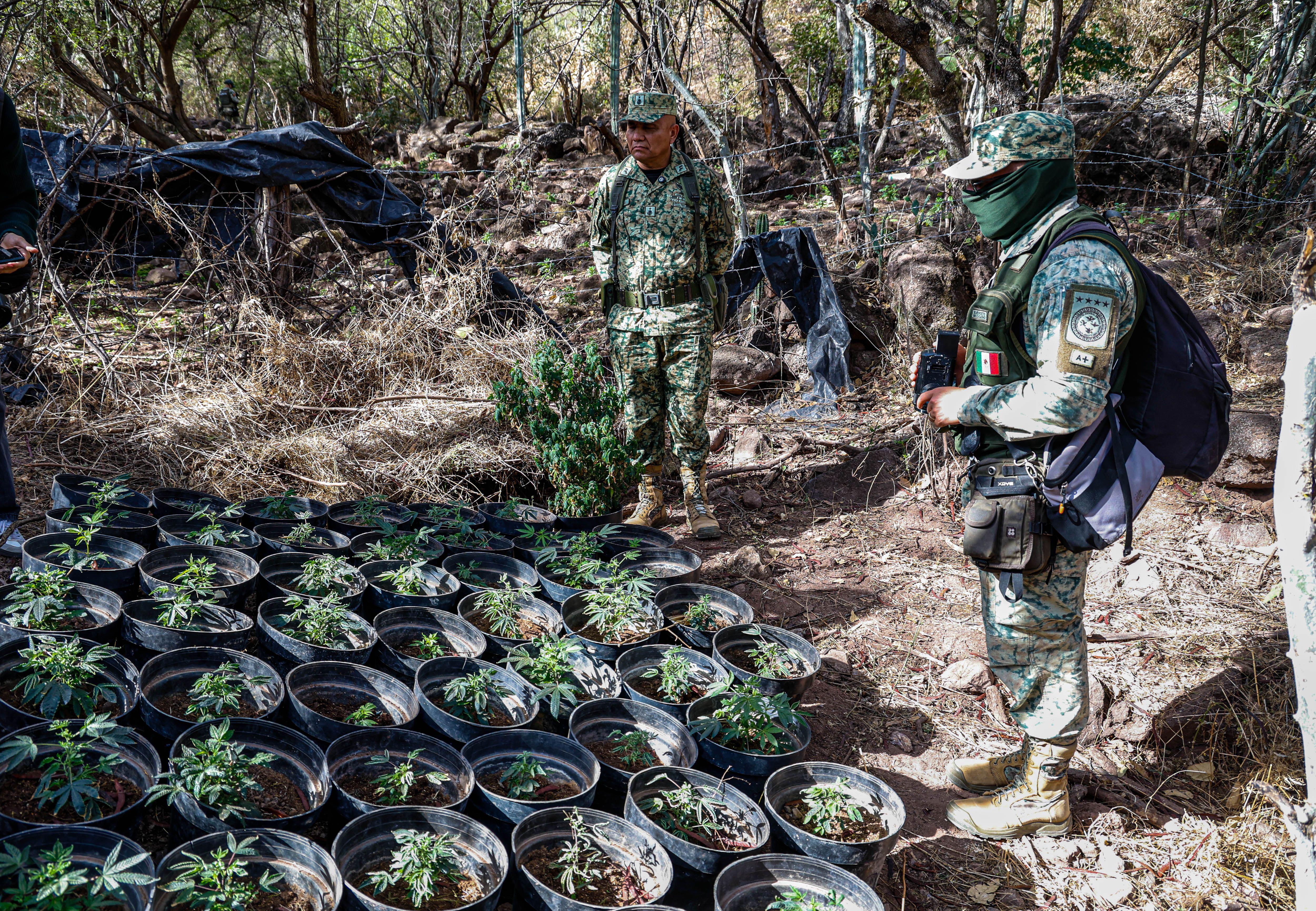 Ubica Marina narcolaboratorio del ‘Mayito Flaco’ en Culiacán