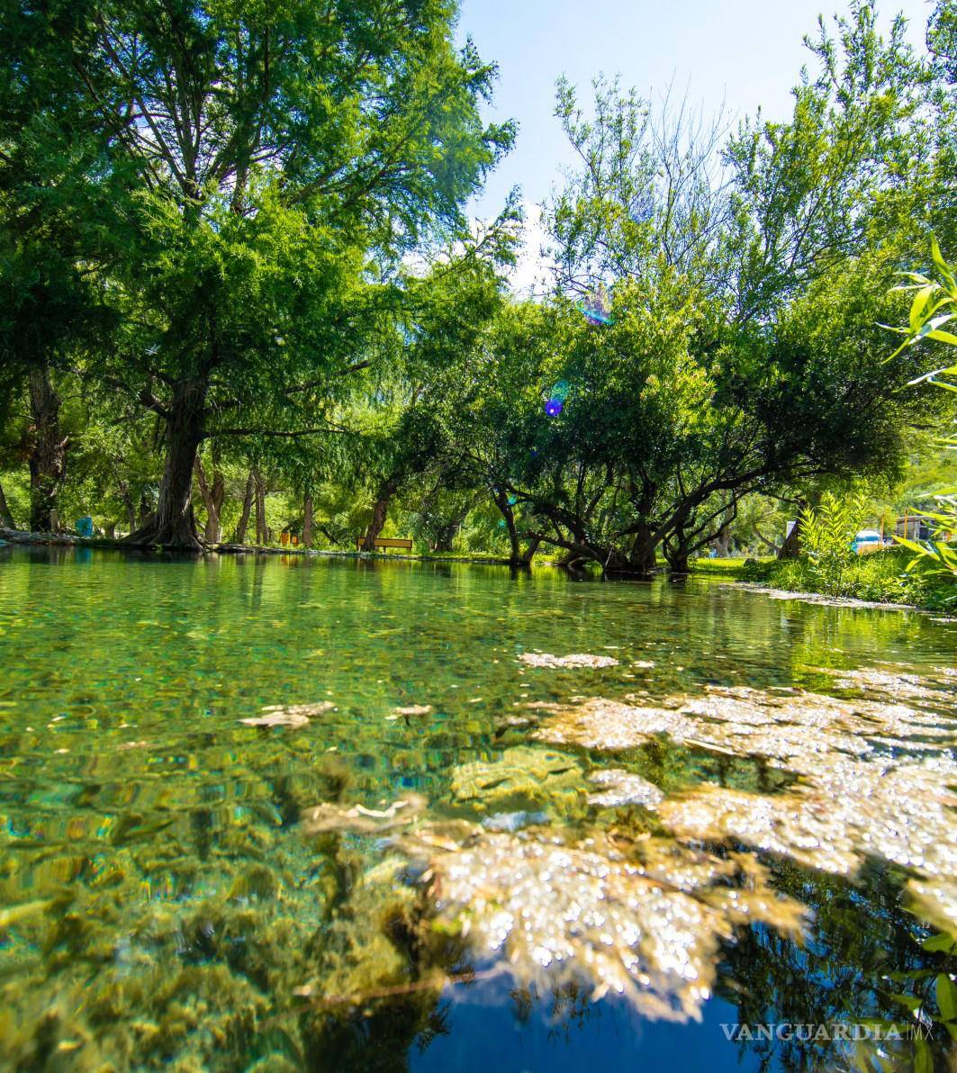 $!Bustamante, Nuevo León