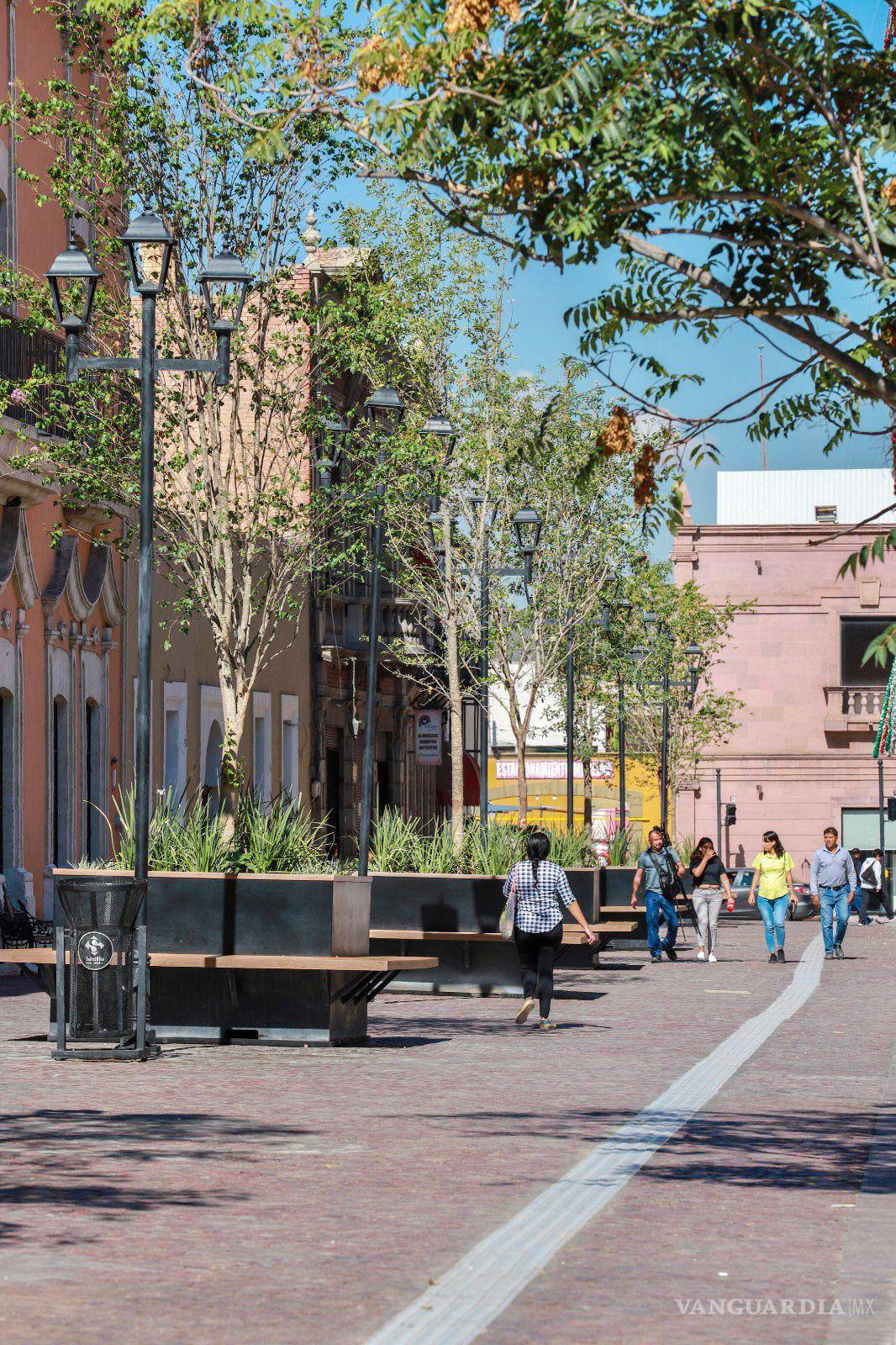 $!El proyecto se ha diseñado con un piso rústico que aporta una apariencia antigua, y se han instalado bancas, arbolado y jardineras para crear un entorno atractivo y acogedor.