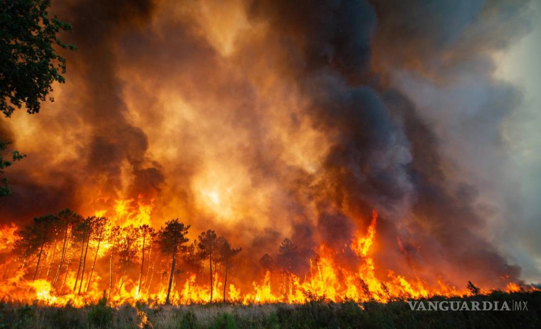$!Esta foto proporcionada por el cuerpo de bomberos de la región de Gironde (SDIS 33) muestra un incendio forestal cerca de Landiras, en el suroeste de Francia.