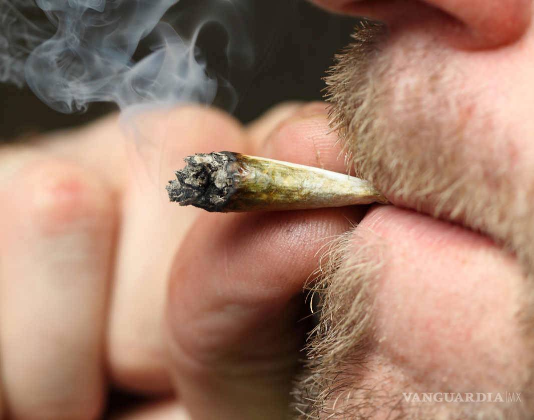 $!Fallo histórico en México, se legaliza la 'mota' con fines recreativos