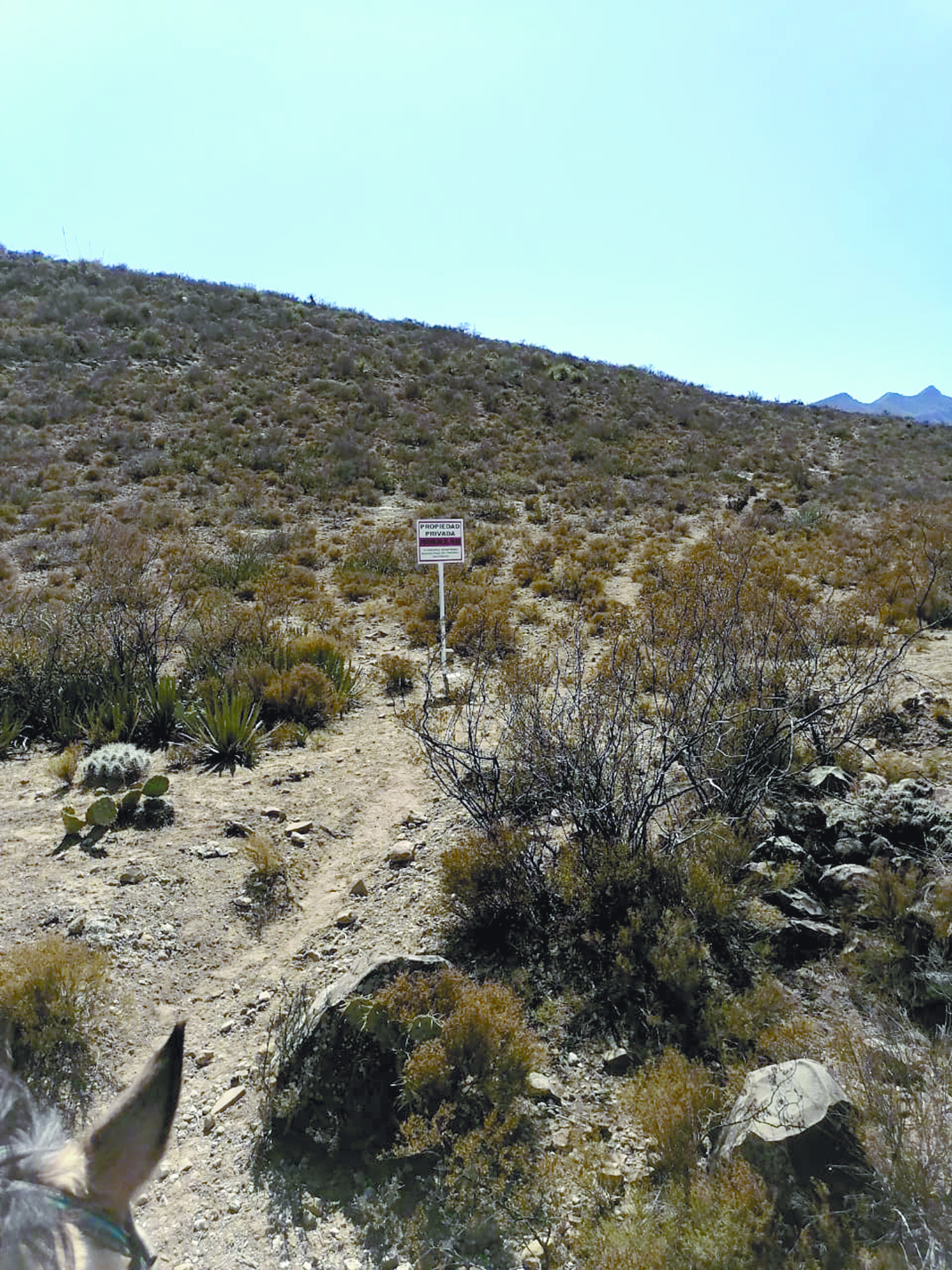 $!Pobladores de ejido de Ramos Arizpe acusan al ex diputado Luna Canales de usar influencias para perjudicarlos