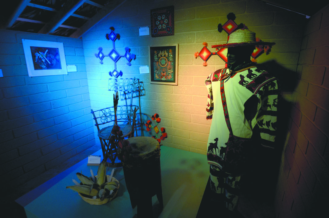 $!El peyote: Descubre la magia de una planta sagrada