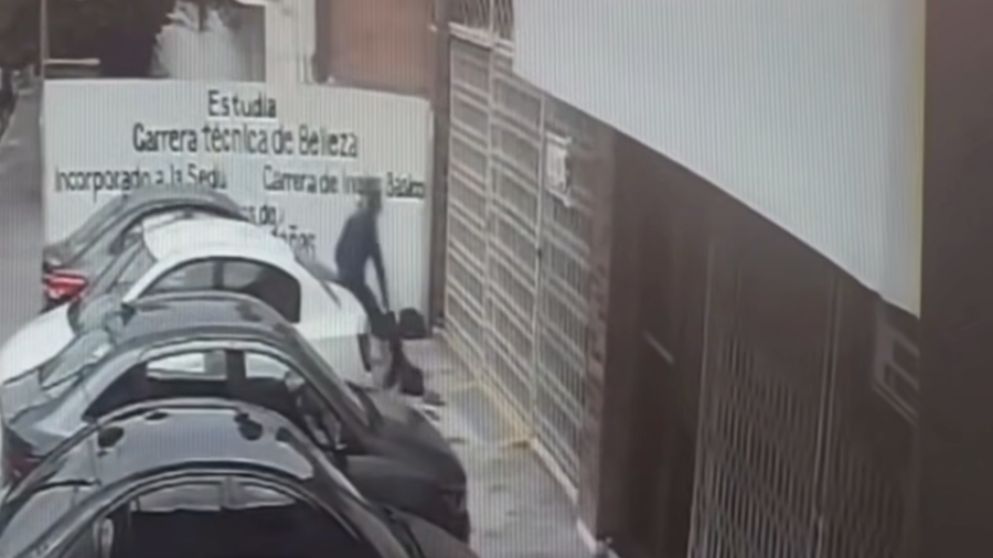 La agresión contra el cachorro quedó registrada en videos de vigilancia de la zona.