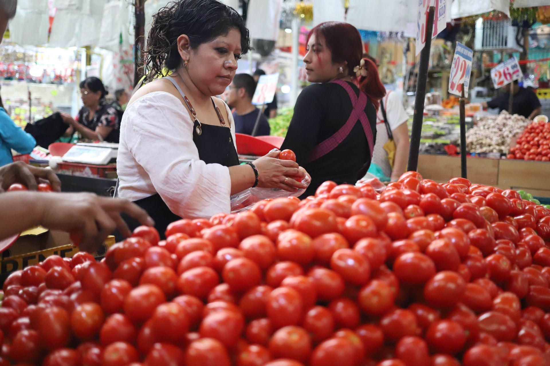 Caen exportaciones de productos agropecuarios mexicanos; entre ellas las ventas de jitomate