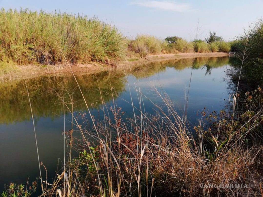 $!Organizaciones piden gestión equitativa del agua