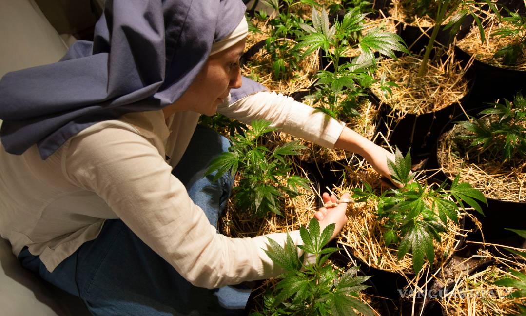 $!Con hábito de monjas, las "hermanas del Valle" se hacen ricas con mariguana