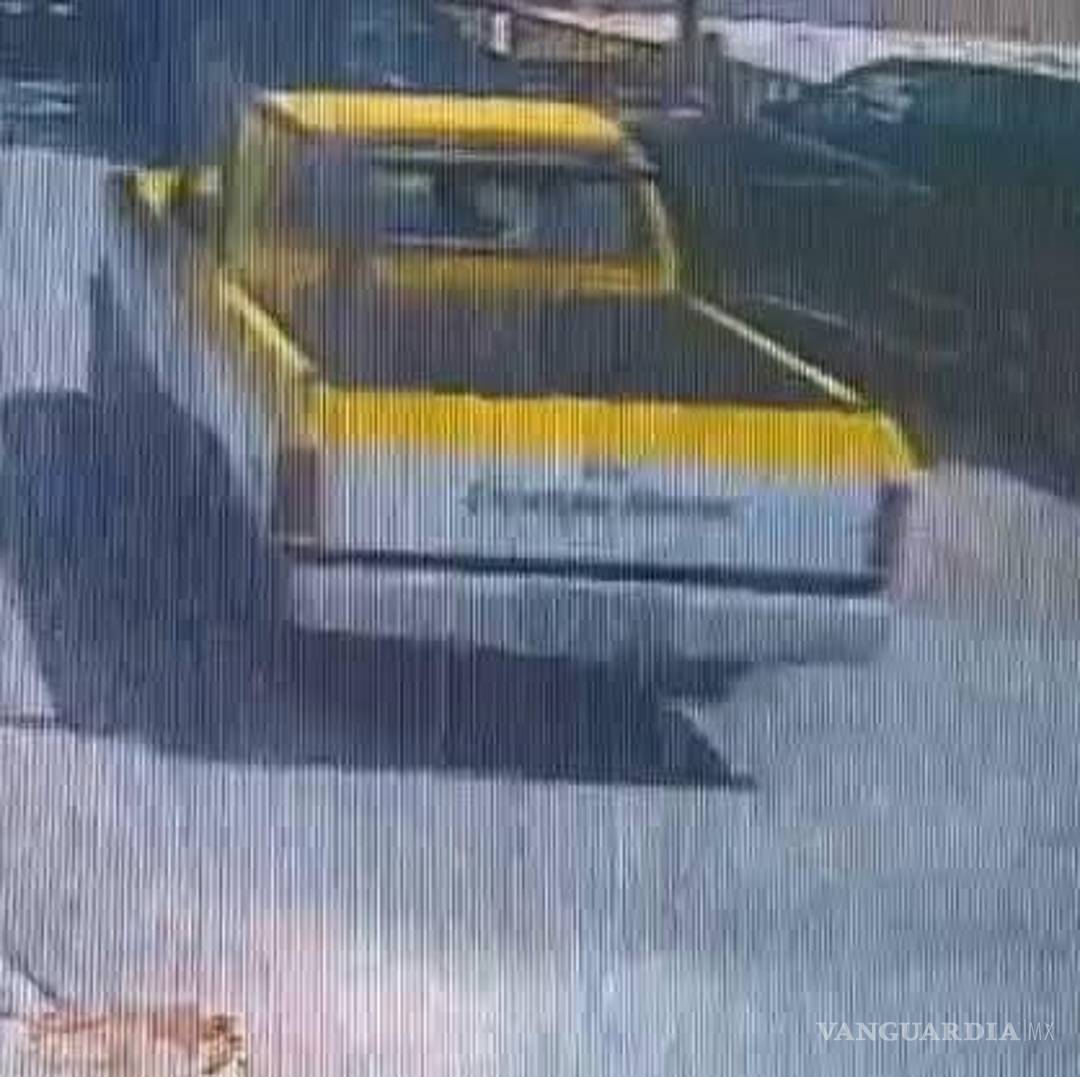 $!El perro abandonado presentaba desnutrición severa y más de 400 garrapatas en su cuerpo.