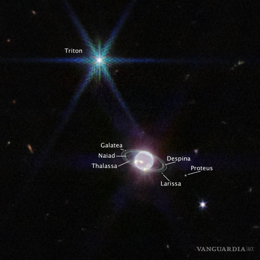 $!Imagen captada por la cámara de infrarroja del Telescopio Espacial James Webb de Neptuno, las lunas visibles del planeta están etiquetadas.
