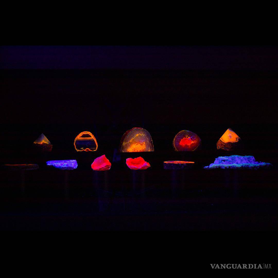 $!El MUDE recibirán donaciones voluntarias para mantener la actividad vigente e imprimir temas de divulgación.