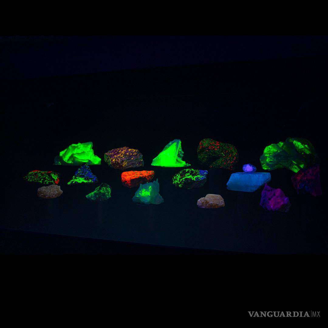 $!También seimpartirá un taller de máscaras con diferentes animales, entre ellos dinosaurios.