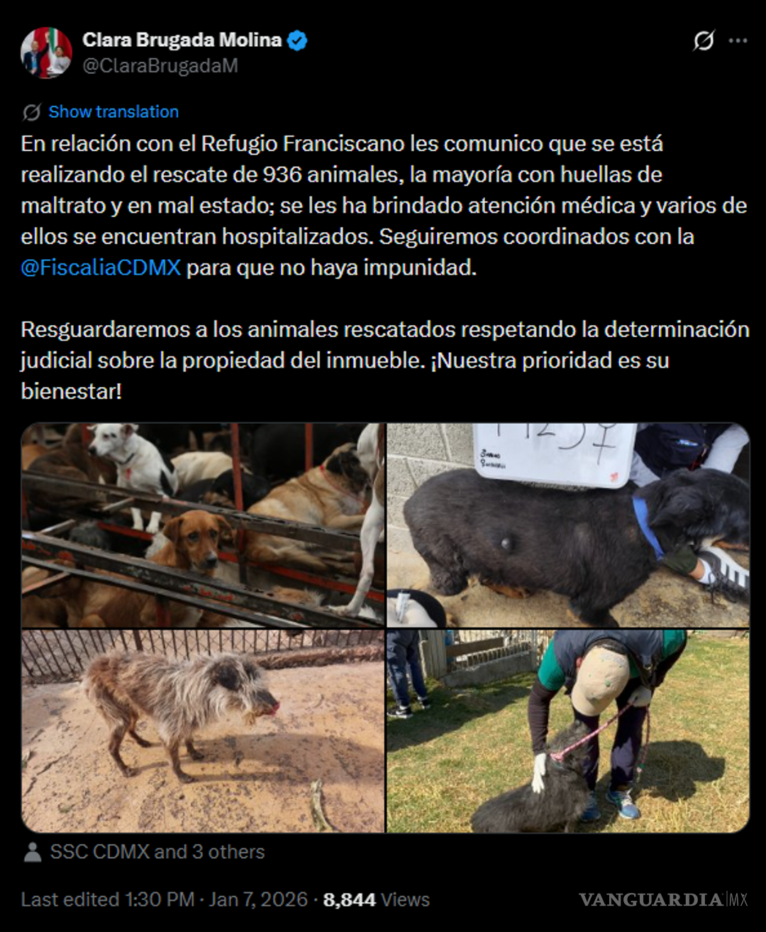 $!Rescatan a 936 animales del Refugio Franciscano en CDMX por presunto maltrato
