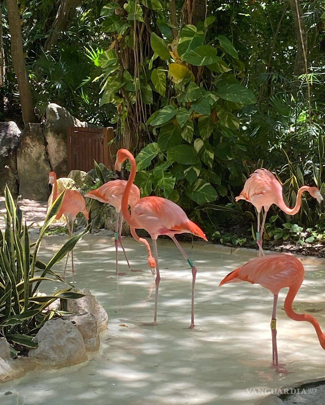 $!Camila Sodi se relajó en reserva natural, pero sin permiso