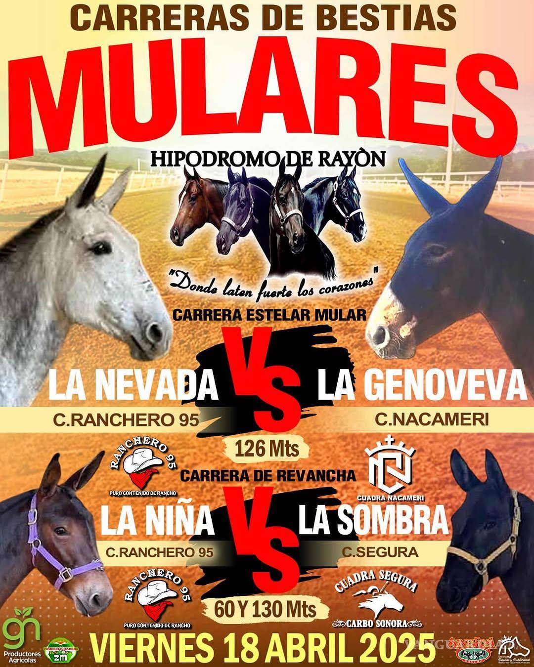 $!Reportan desaparición de ‘Ranchero 95’, influencer cercano a Markitos Toys y Kevin Castro, en Sonora