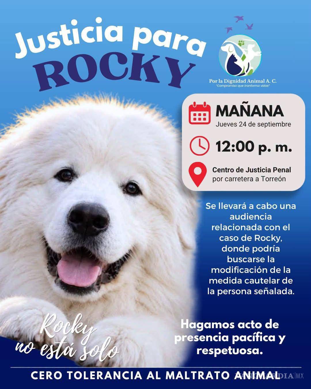 $!Convocan activistas a protestar por caso ‘Rocky’ este jueves en Saltillo