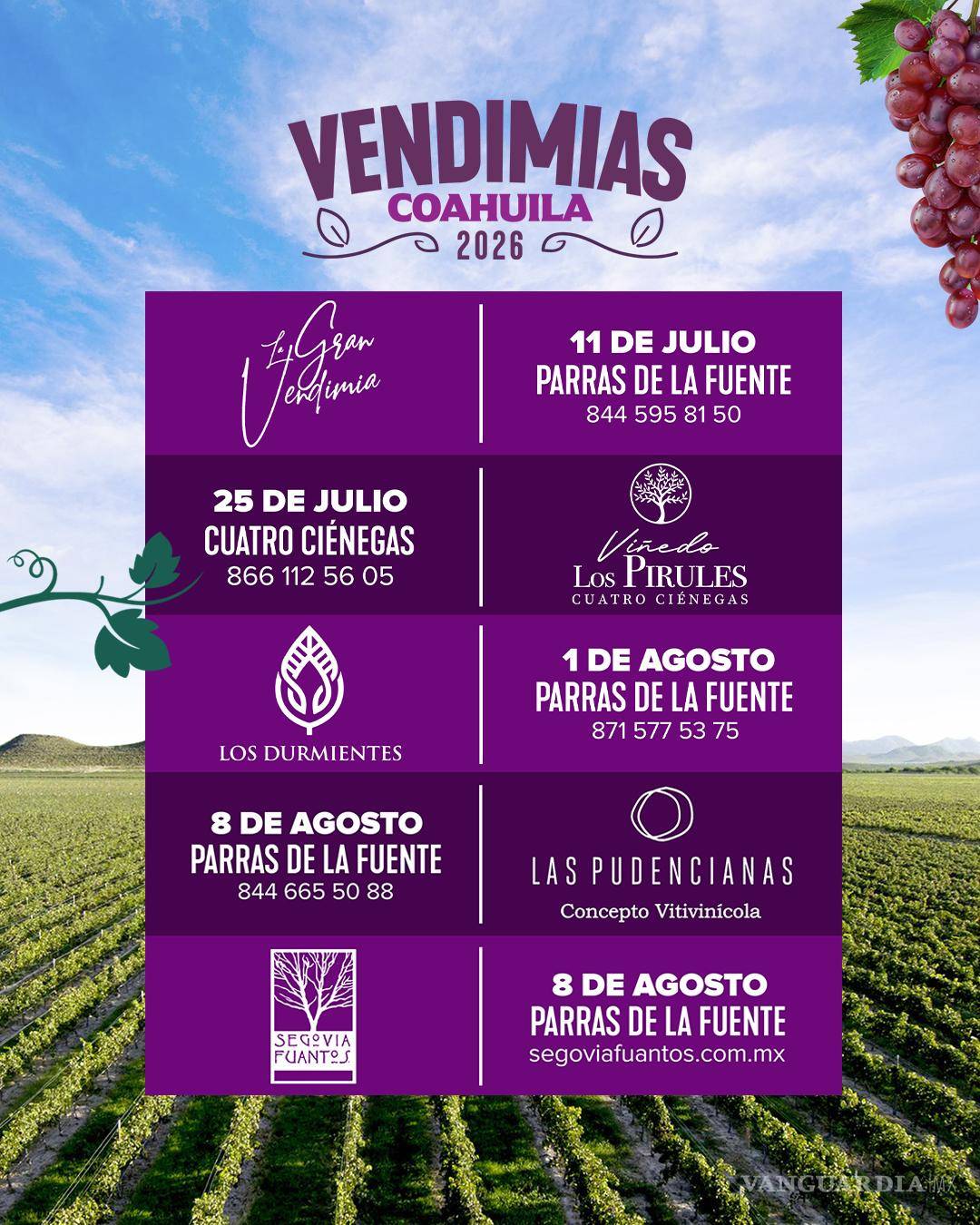 $!Alistan temporada de vendimias con 28 mil asistentes y derrama de 50 millones en Coahuila