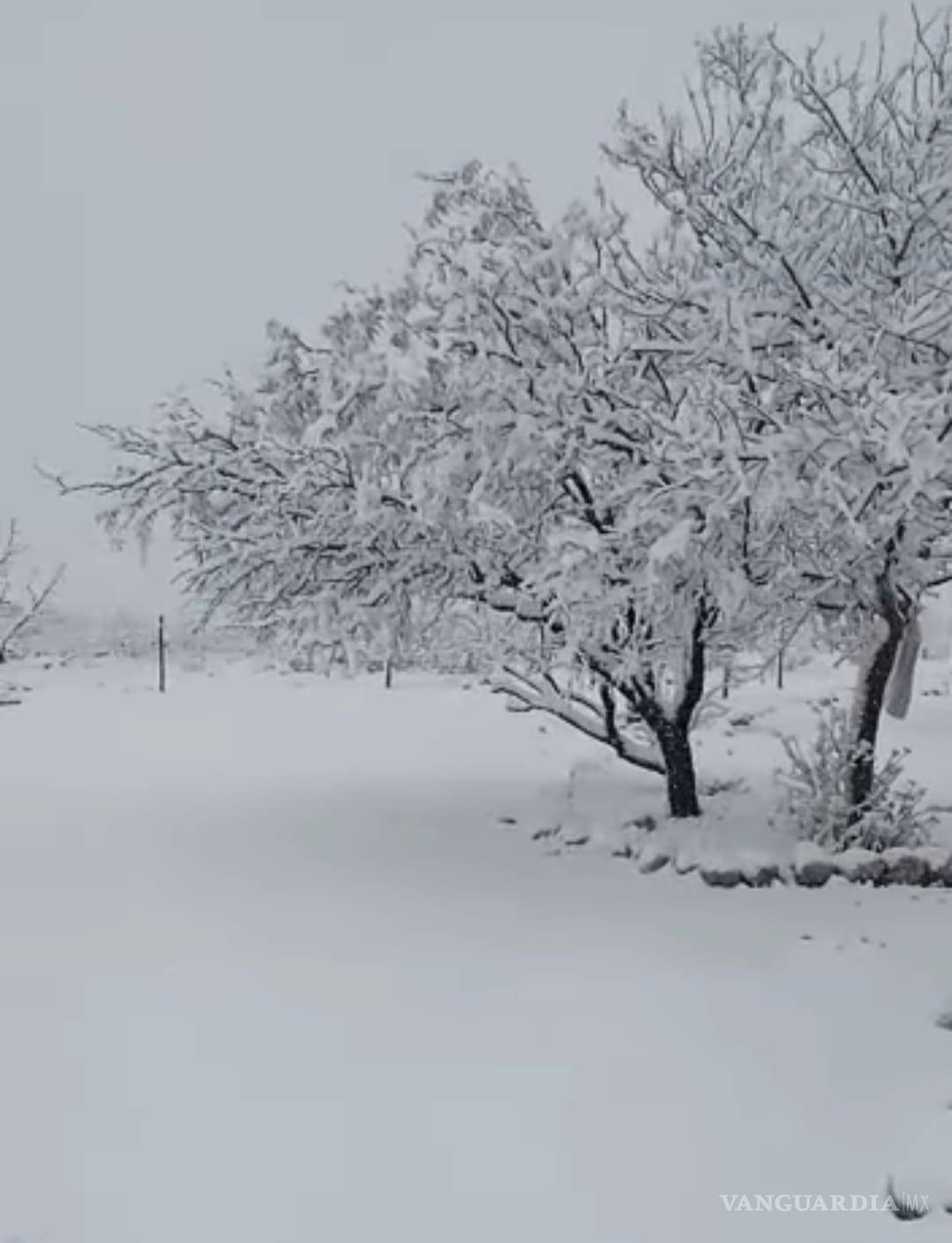 $!Tanto en Piedras Negras y Acuña, como en la Región Sureste de la entidad como es Saltillo, los termómetros empezaron a tocar los 10 grados de temperatura.