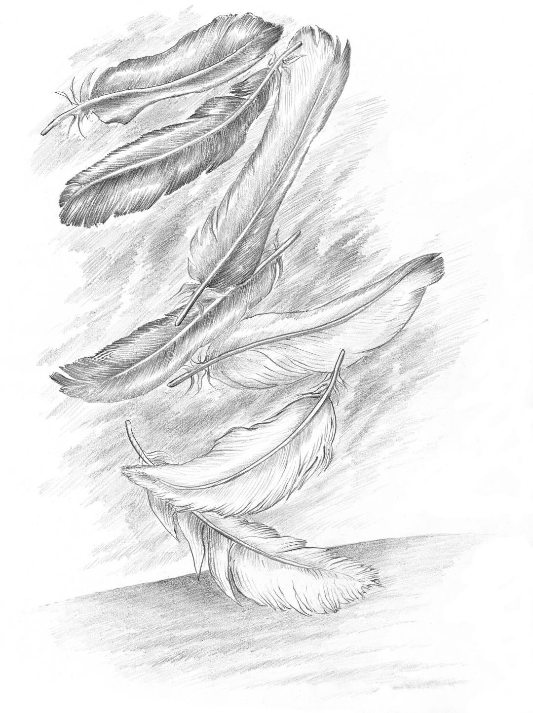 $!"De la finitud", el regalo literario de Grass, un año después de su muerte