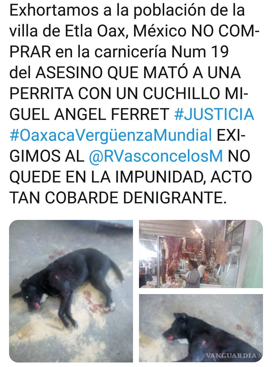 $!Carnicero habría matado a perrita por comer un trozo de carne