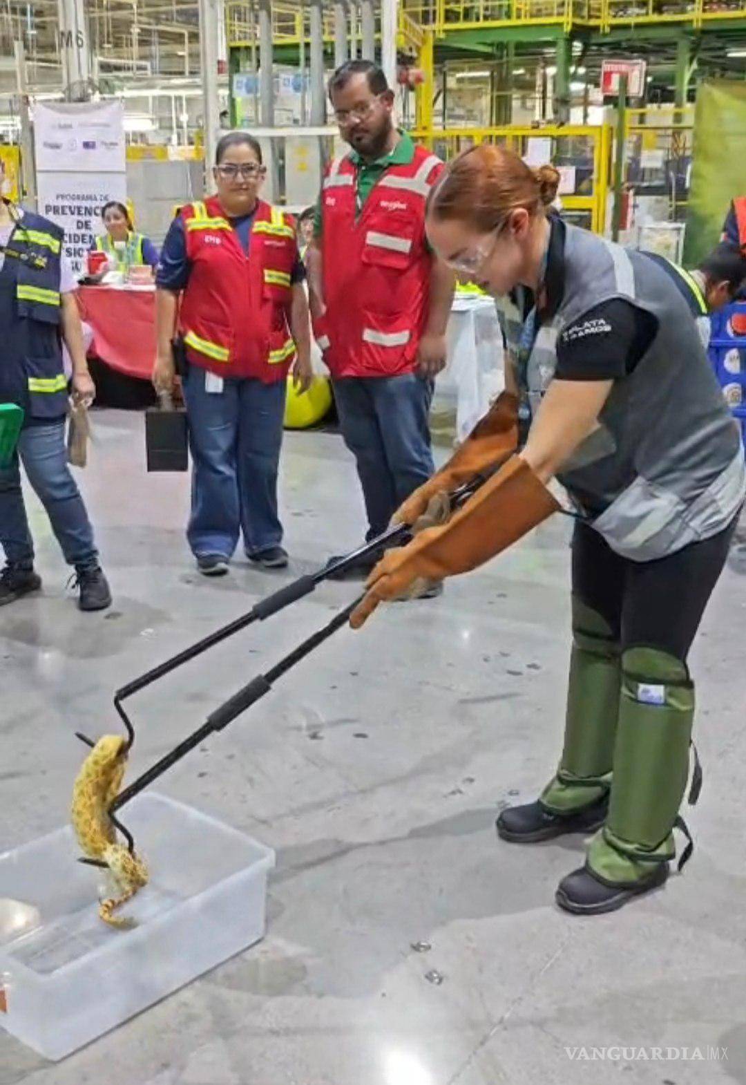 $!Las capacitaciones promueven la conservación de la biodiversidad y la seguridad dentro de las plantas industriales.