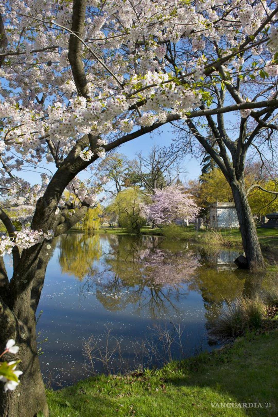 $!El Woodlawn, el cementerio que cuenta la historia de Nueva York