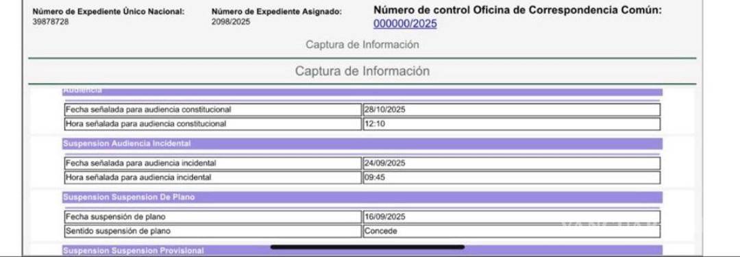 $!Además de Andy y Bobby López Beltrán, ¿quiénes son los otros funcionarios y empresarios amparados?