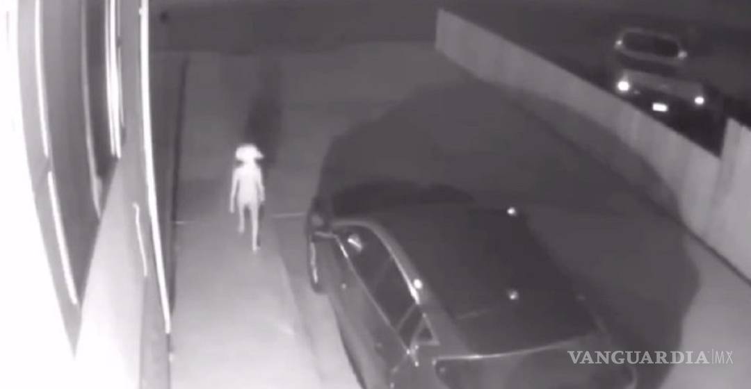 $!Encuentran caminando a un elfo igual a Dobby de Harry Potter