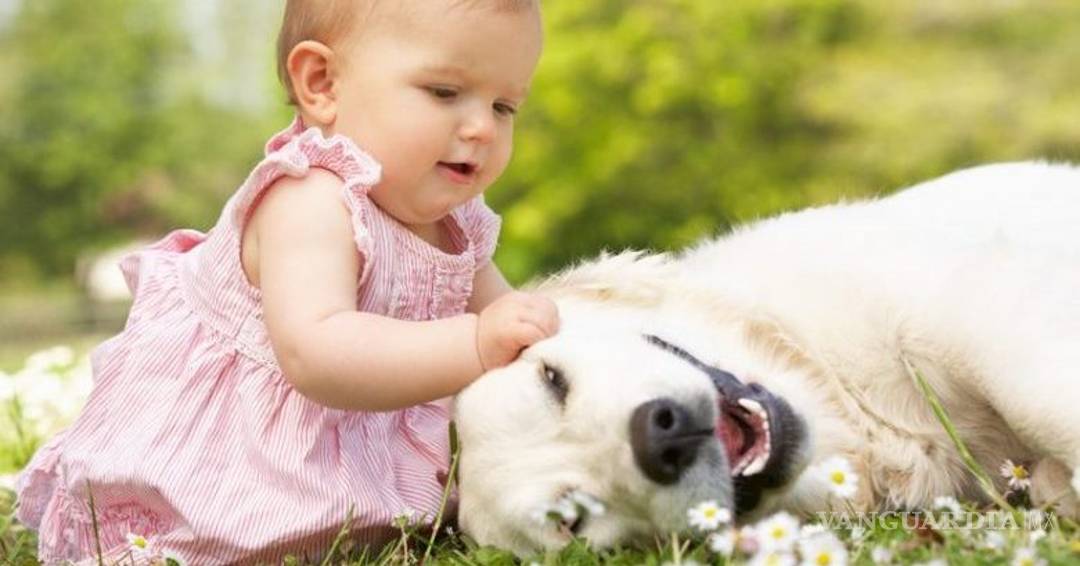 $!¿Sabías que?... 30 datos curiosos que posiblemente desconozcas