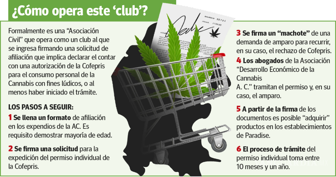 $!Saltillo: disfrazan con clubes ‘venta’ de mariguana en tiendas Paradise