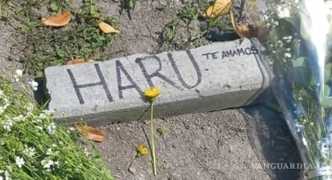 $!El colectivo dejó un pequeño rincón para homenajear al minino.