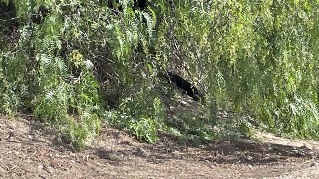 $!Los niños contaron a sus padres lo que habían visto: una mujer vestida de negro que había atado una cuerda a su cuello para poner fin a su vida.