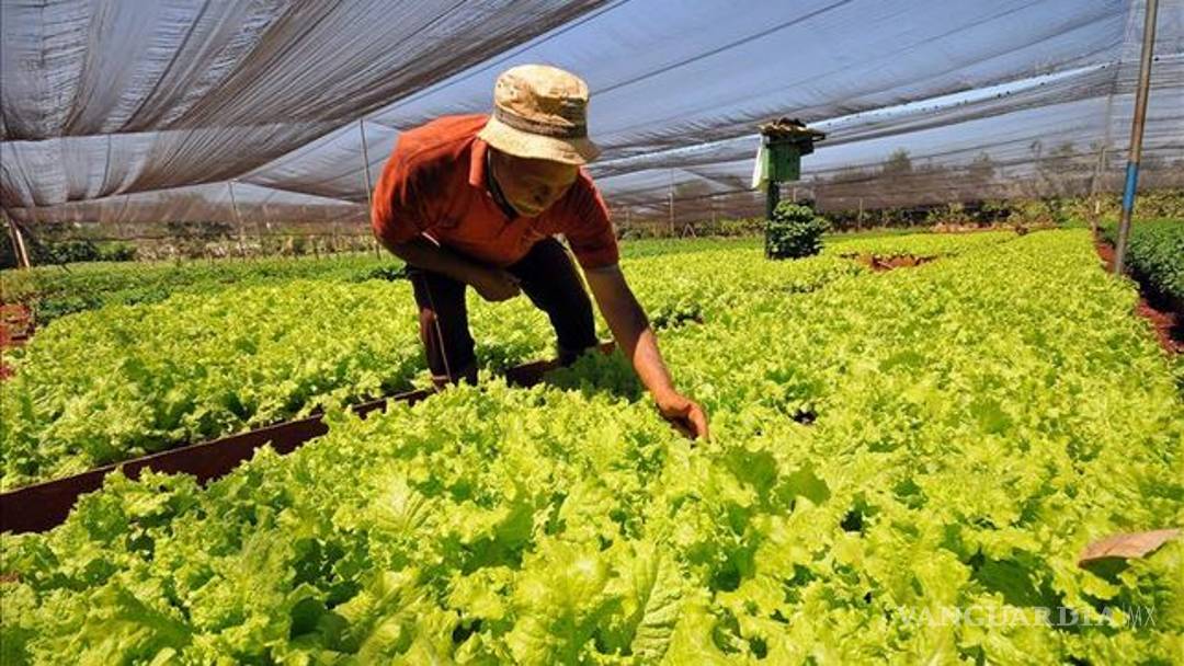 $!Reportan explotación de paisanos en 6 ciudades de EU