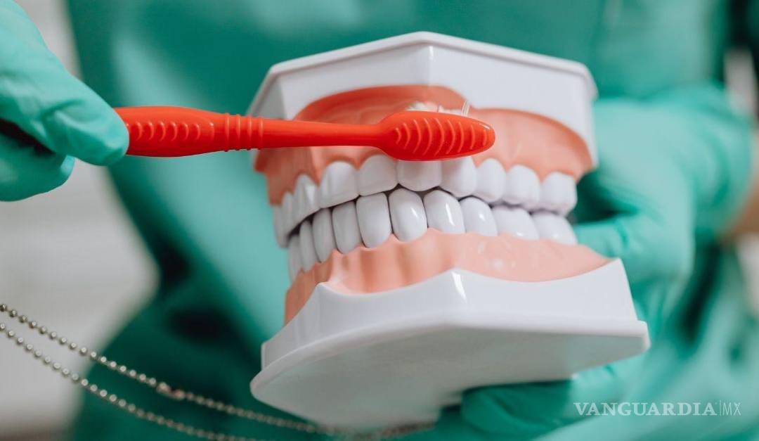 $!Las principales causas son la deficiente higiene dental, la falta de cepillado diario y el alto consumo de carbohidratos y azúcares.