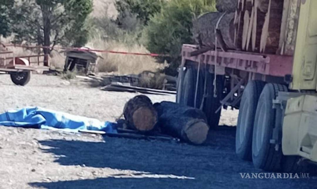 $!Muere trabajador en aserradero de Arteaga tras caerle troncos que descargaba