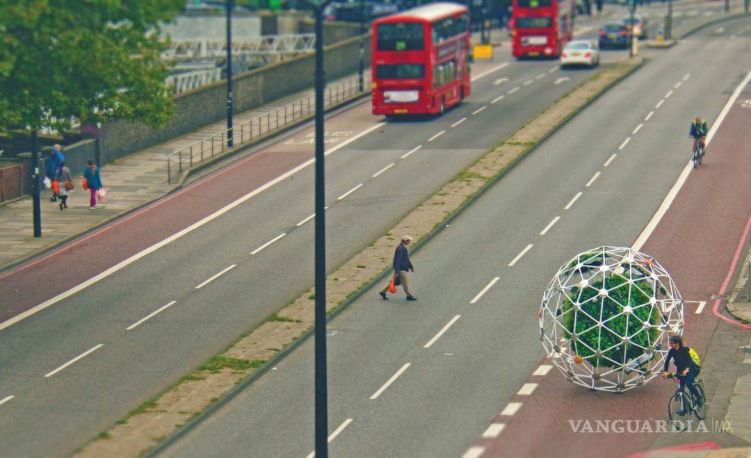 $!Hortum machina, el jardín errante