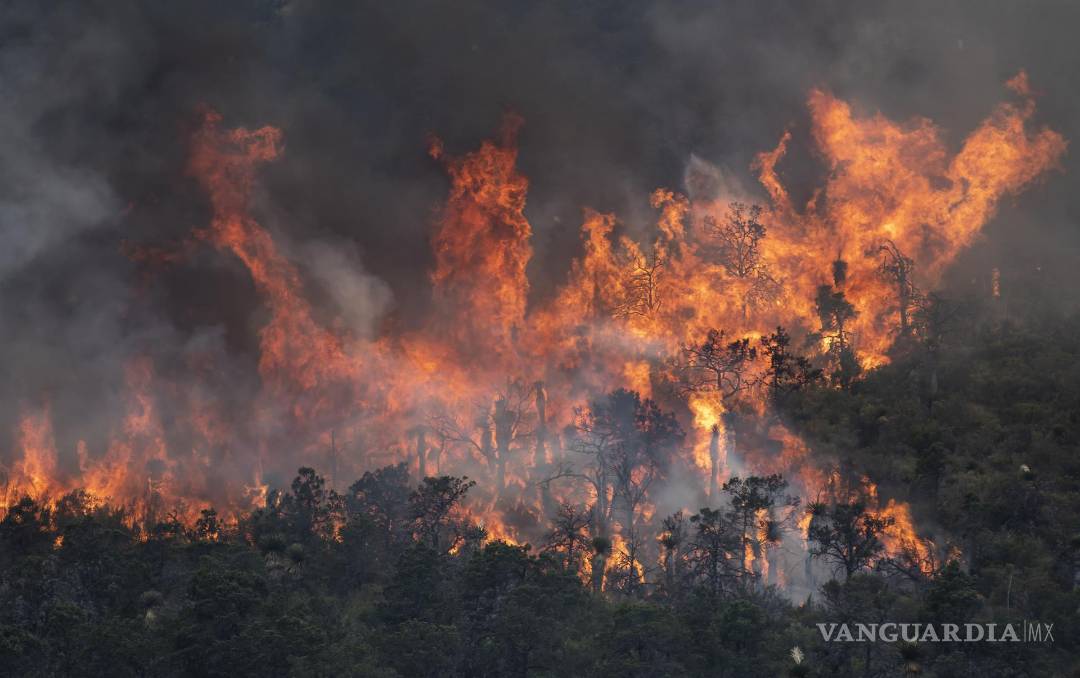$!Arteaga, Coahuila 20 de mayo de 2022. Incendio forestal,en la Sierra de Arteaga, en la Carbonera. EFE/Miguel Sierra