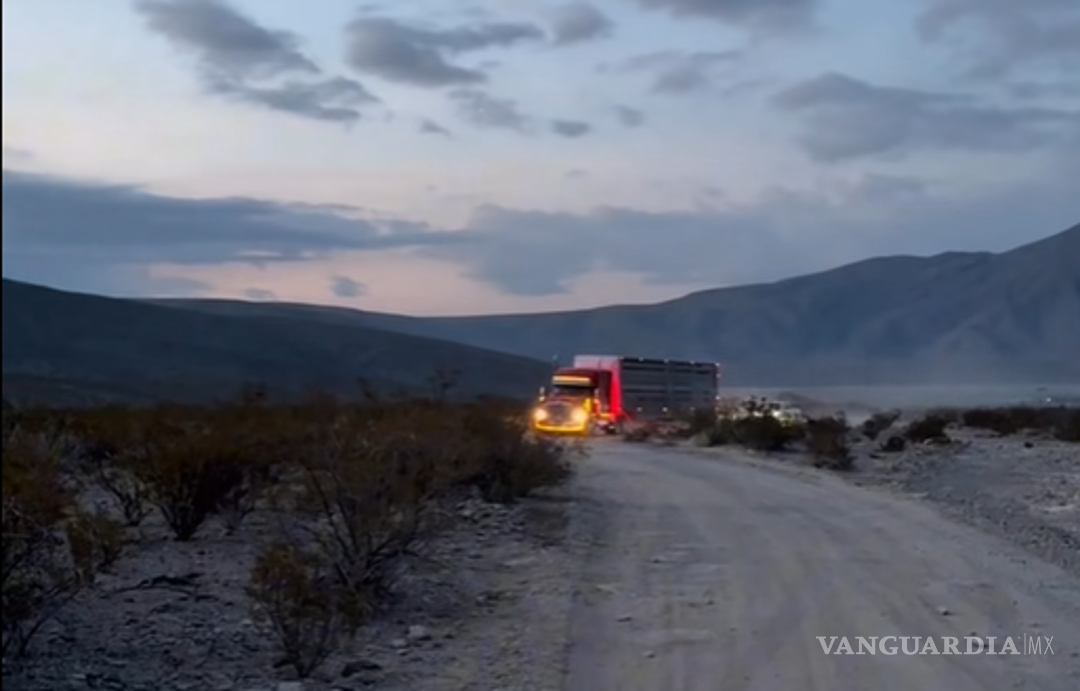 $!La reintroducción fomenta un corredor ecológico indispensable para preservar la biodiversidad de la zona.