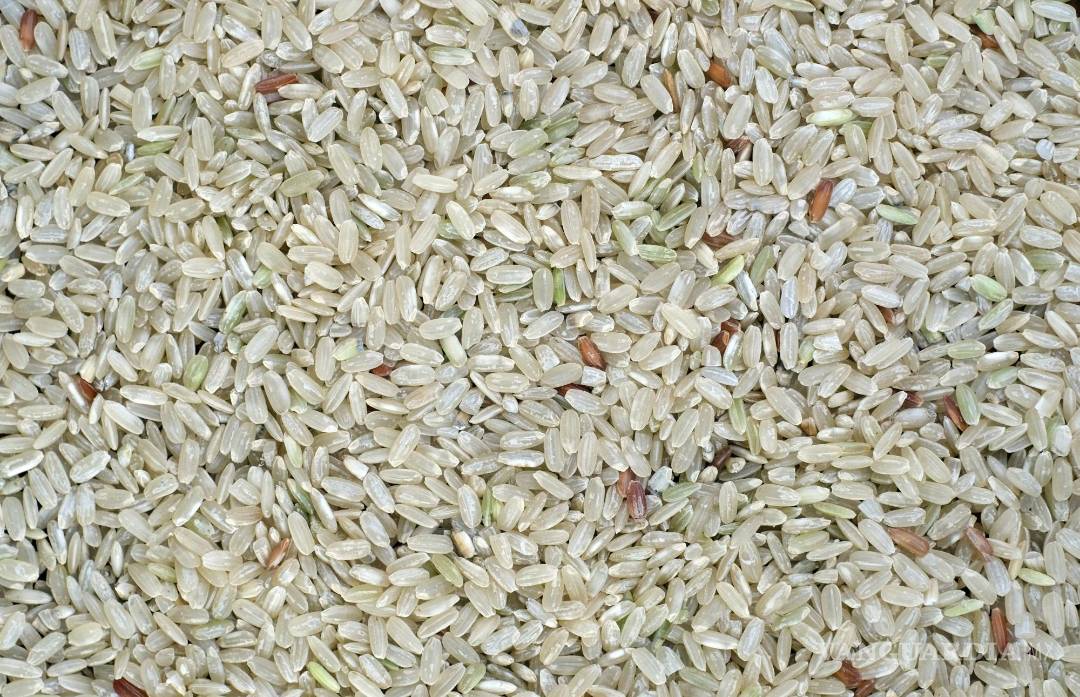 $!Este arroz es 100% puro y no contiene microplásticos, según Profeco