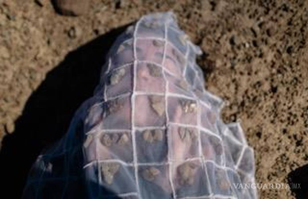 $!Carolina comentó que fue gracias a que el también coahuilense Carlos Vielma asistió a esta misma residencia hace unos años .