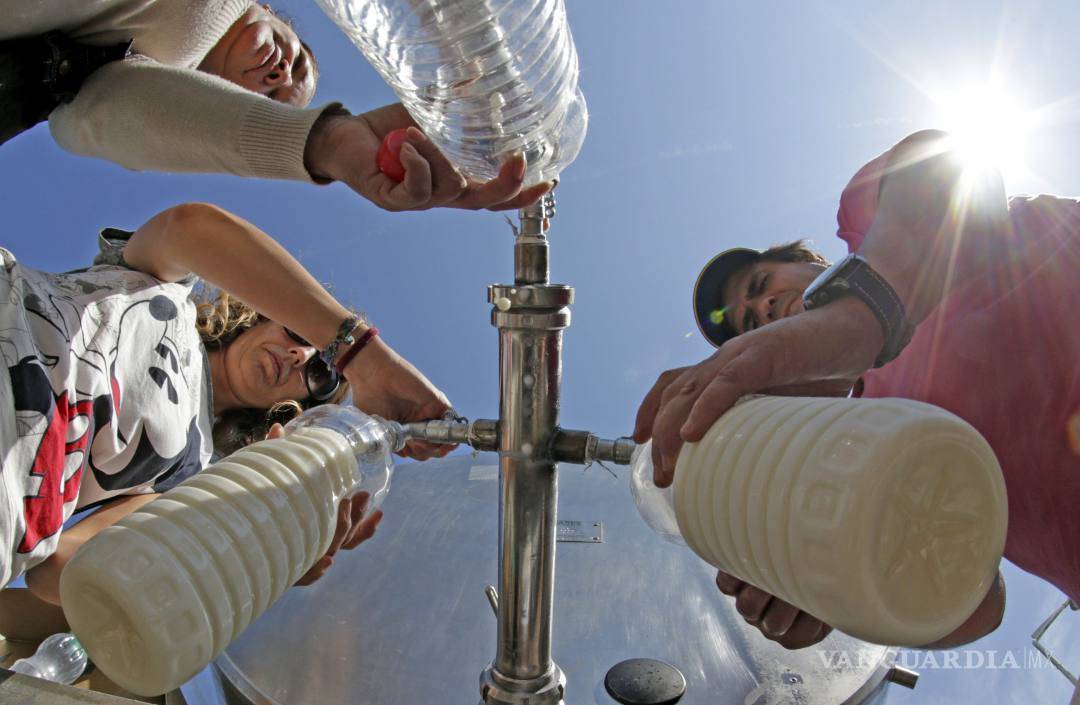 $!¿Sabe cuál es la leche adecuada para usted?