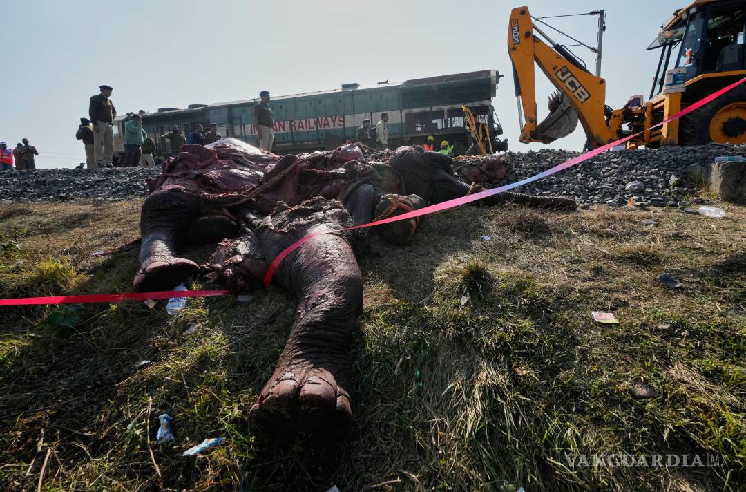 $!El cadáver de un elefante asiático salvaje es retirado de las vías del tren después de que un tren a toda velocidad atropellara a una manada de elefantes salvajes.