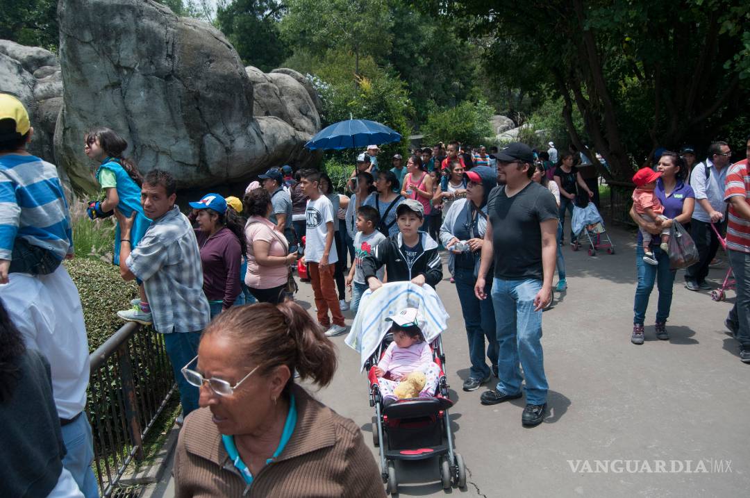 $!Mancera buscará a Peña Nieto este lunes para discutir temas ambientales de la CDMX