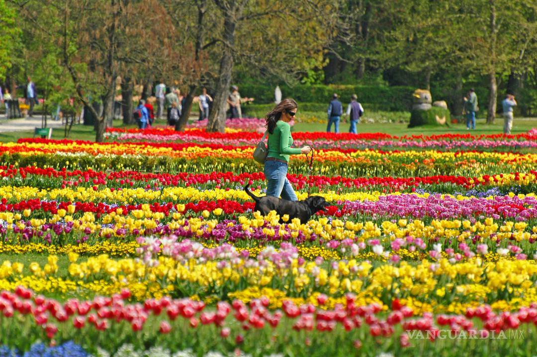 $!Liubliana, ciudad del amor y los dragones