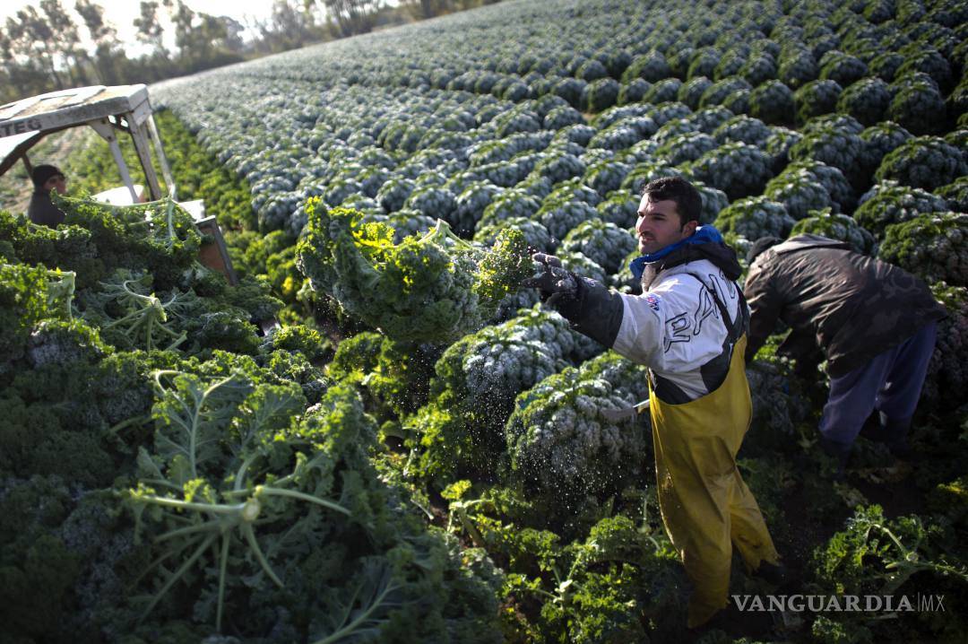 $!Alimentos para estar guapa