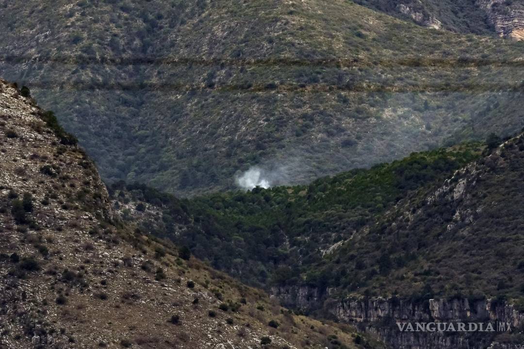 $!El incendio, que fue rápidamente controlado, dejó afectados 200 metros de arbusto.