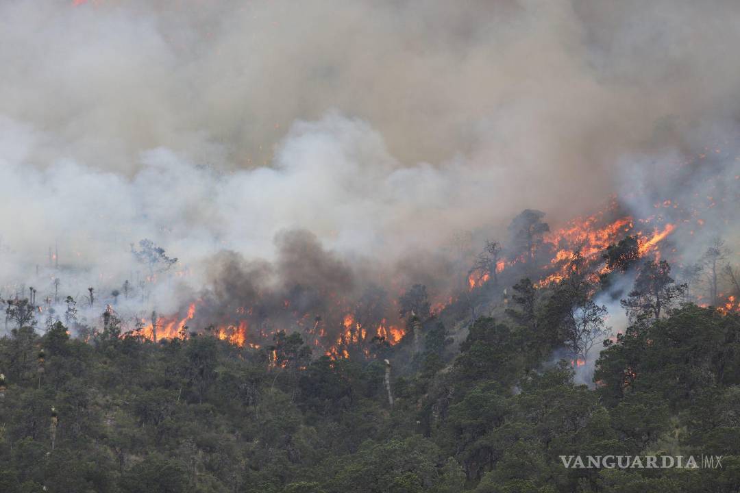$!Saltillo, Coahuila 20 de mayo de 2022.- El incendio registrado en La Carbonera sigue sin controlarse.