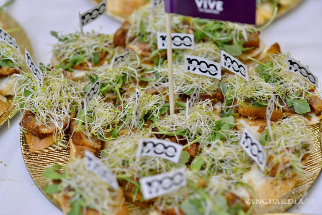 $!¡Despedida a lo grande! ‘Vive tu Centro’ cierra su primera temporada desde el Museo de las Aves