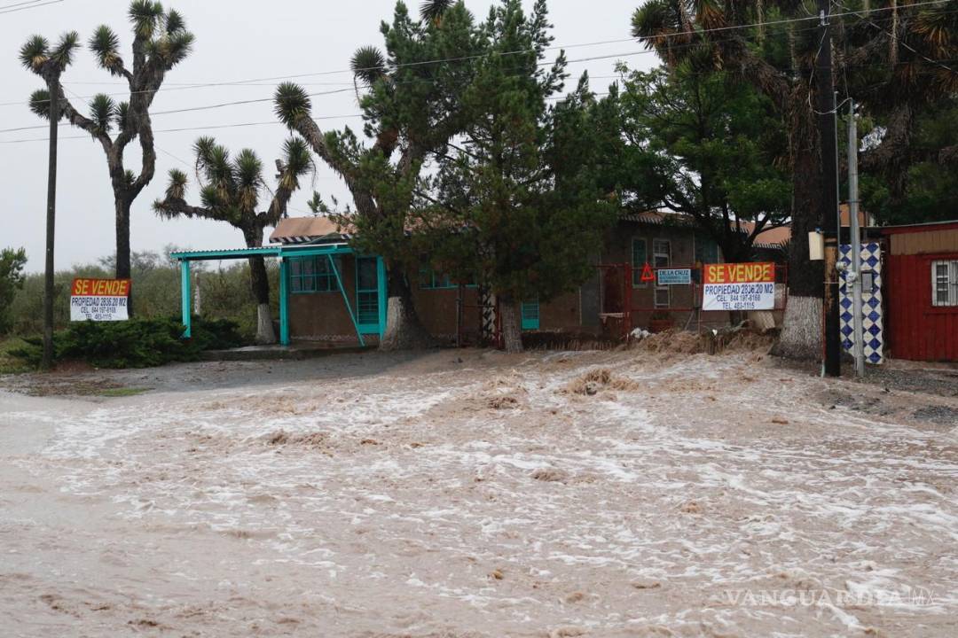 $!Estos son los daños reportados por 'Hanna 'en Saltillo (Videos y Fotos)