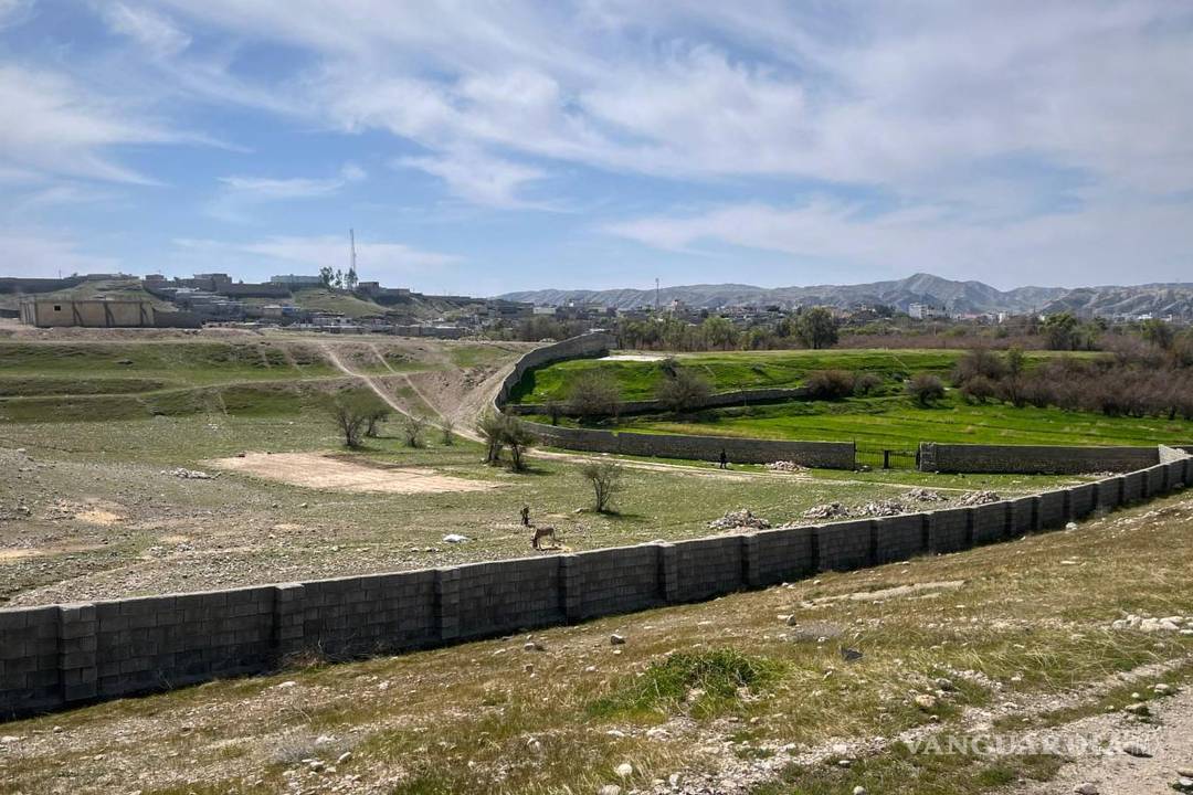 $!Animales pastan delante de su granja en la provincia iraní de Khuzestan, donde se refugia la familia de la abogada.