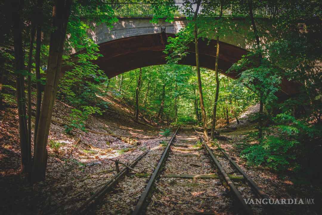 $!Estos son los lugares donde se grabó la exitosa serie de Netflix, Dark